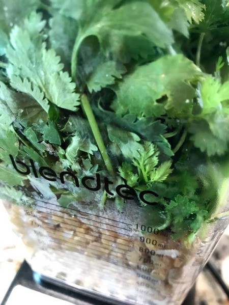 cilantro & lentils in blender