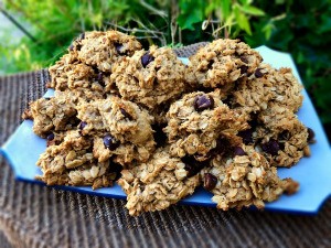 Chocolate Chip Cookies on plate