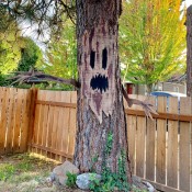 Haunted Tree Decoration