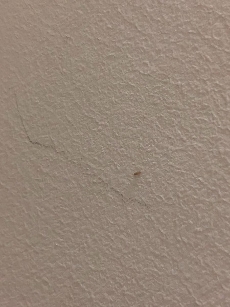 Identifying Household Bugs