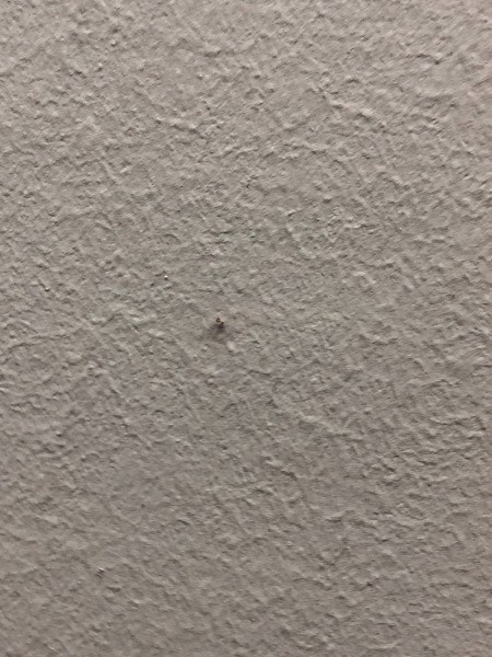 Identifying Household Bugs