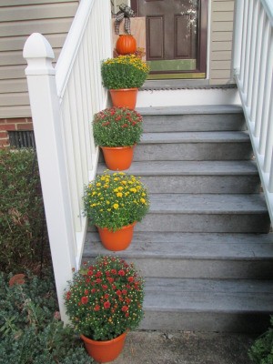 Reconditioning Flower Pots