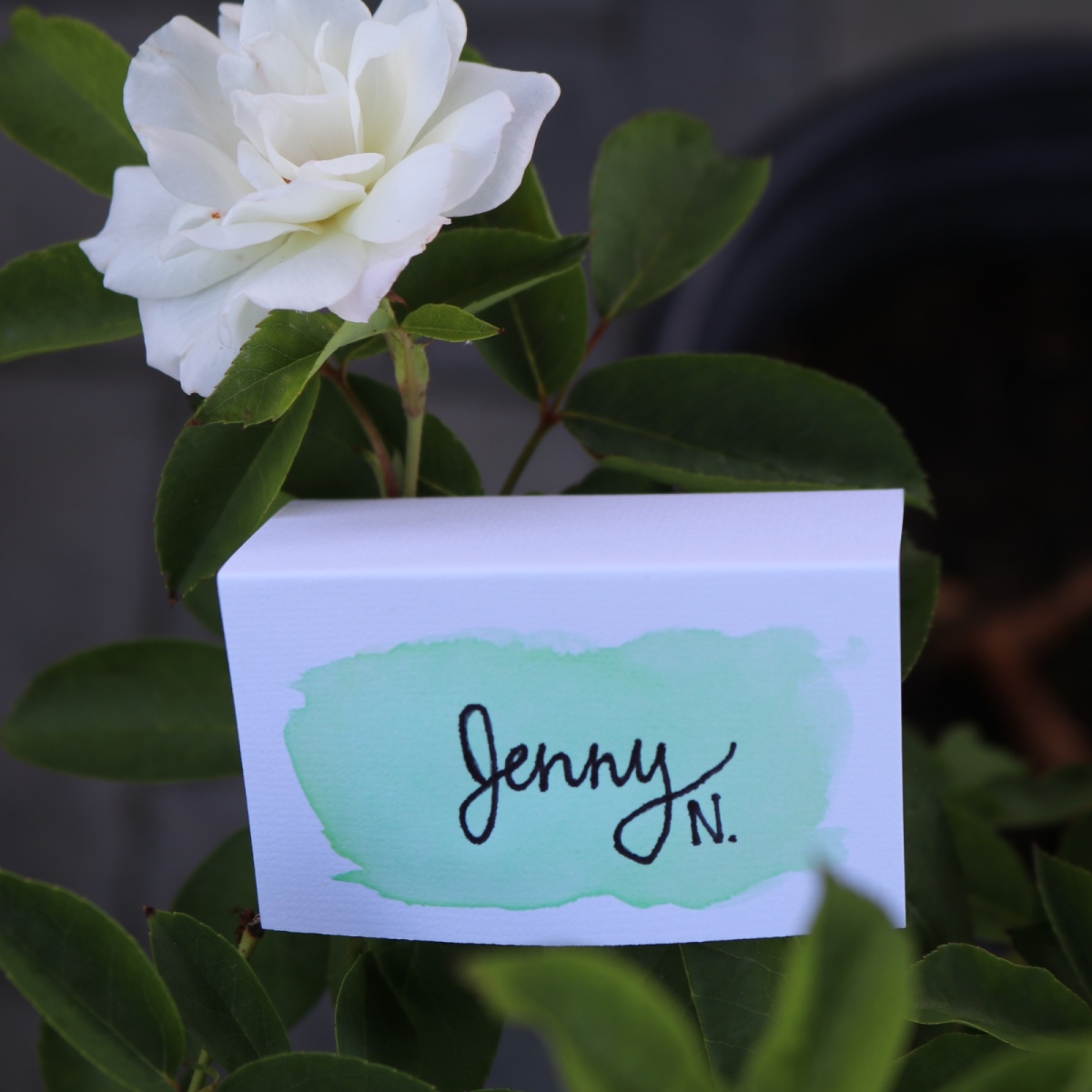 Folded name deals place cards