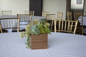 Succulent Wedding Centerpiece - centerpiece on venue table