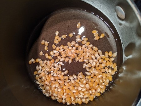 Popcorn added to coconut oil in pan