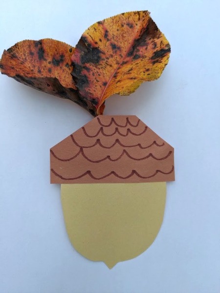 Paper Acorn Kids' Craft - leaves glued in place
