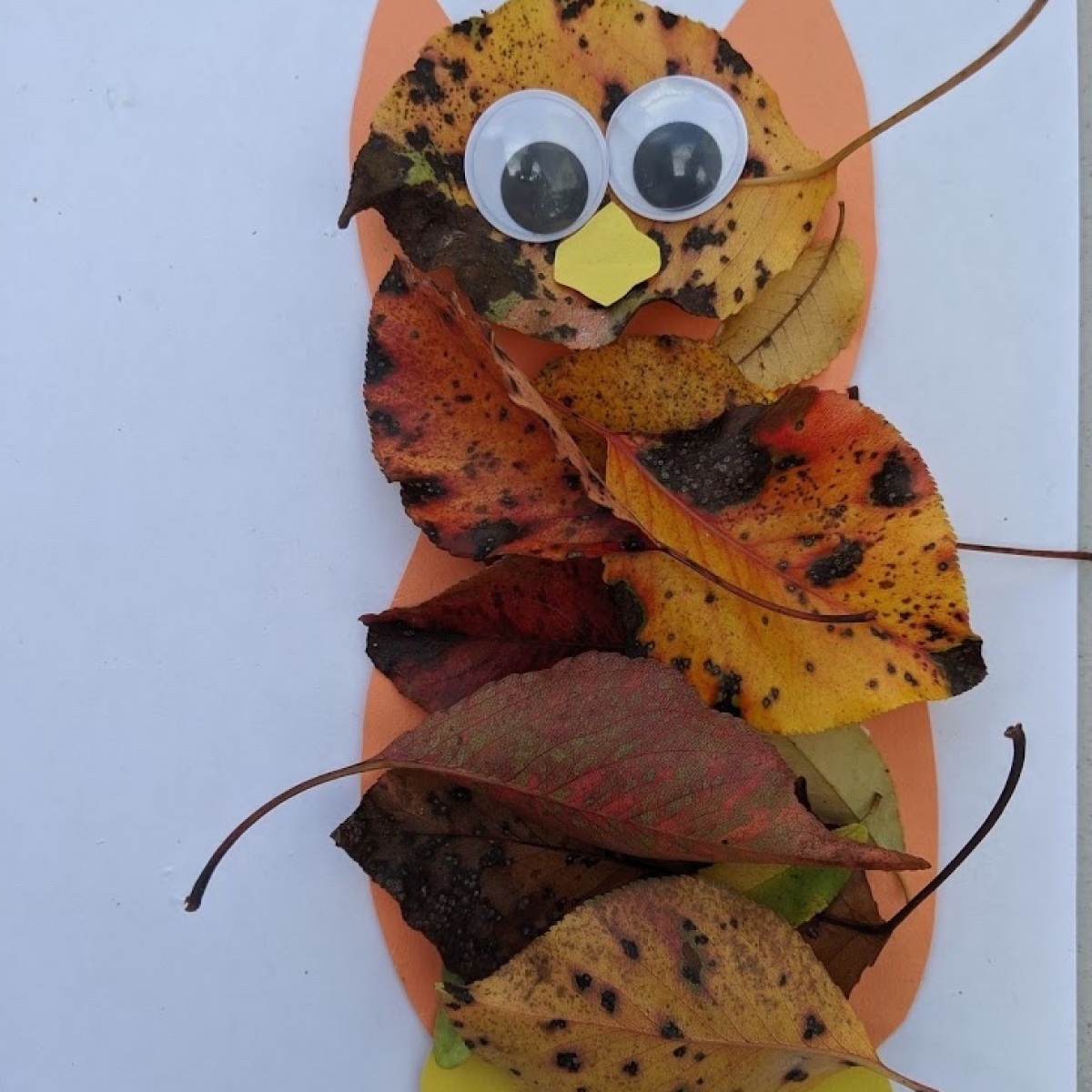 Kid's Fall Owl Decor Craft | ThriftyFun