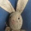 Identifying a Stuffed Bunny - head and ears of a well loved stuffed bunny