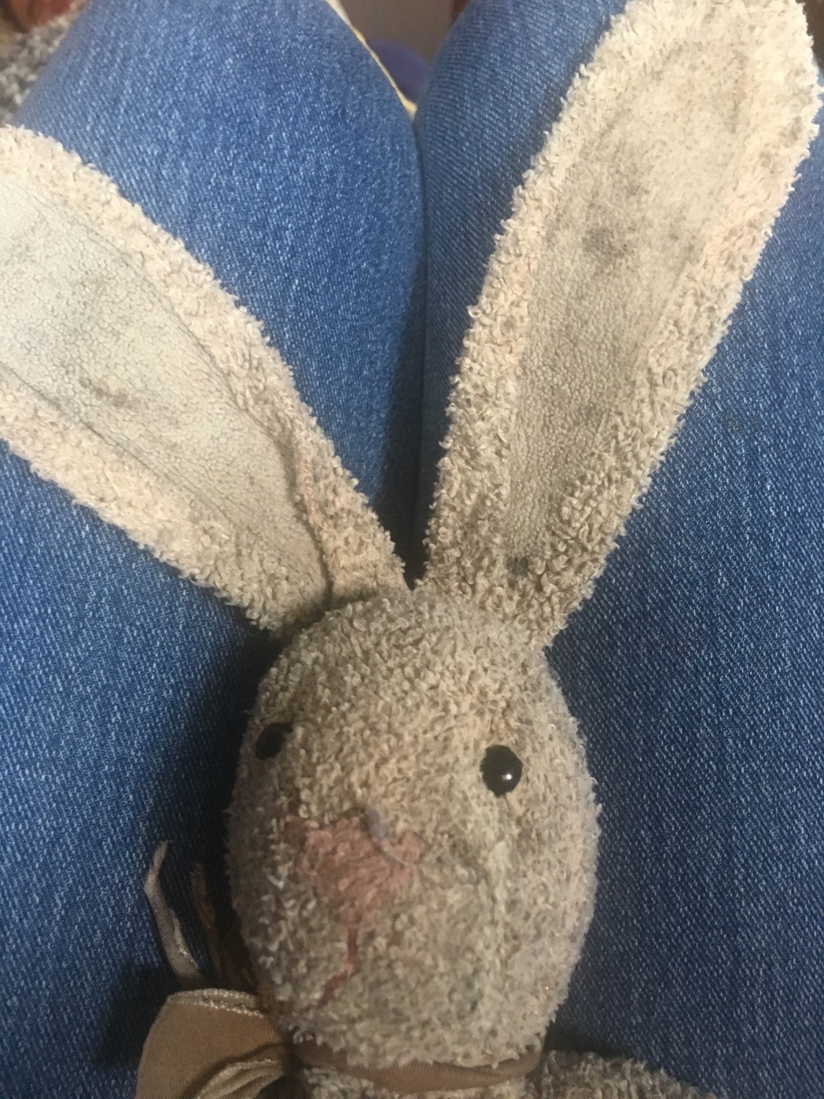 identifying-a-stuffed-bunny-thriftyfun