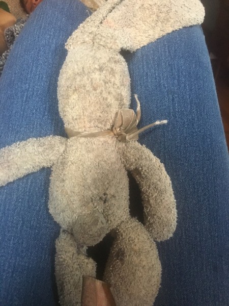 Identifying a Stuffed Bunny