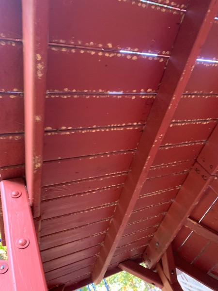 What Is on My Play Structure? - light colored splotches on underside of wood