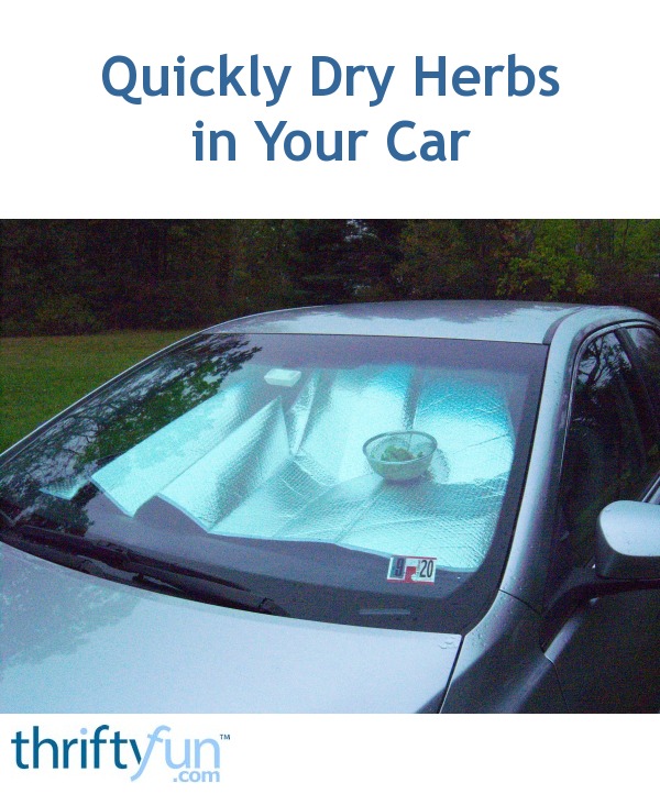 Quickly Dry Herbs in Your Car ThriftyFun