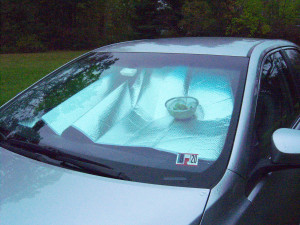 A colander of herbs in a car window.