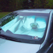 A colander of herbs in a car window.