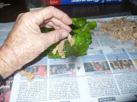 Recycled Glass Light Fixture Terrariums - glue bits of moss to the rocks