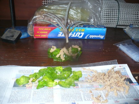 Recycled Glass Light Fixture Terrariums - moss glued to a rock structure