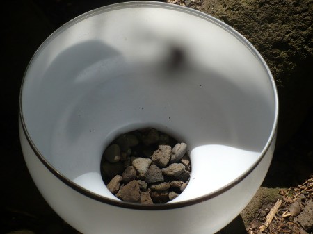 Recycled Glass Light Fixture Terrariums - add drainage rocks