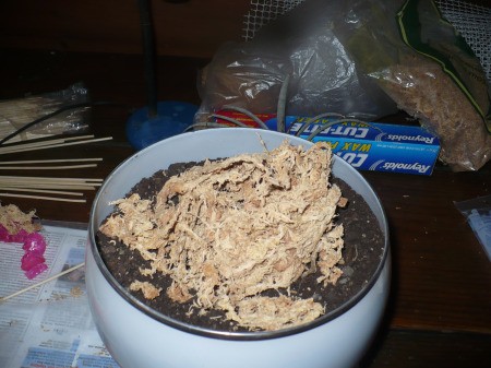 Recycled Glass Light Fixture Terrariums - add and arrange moss