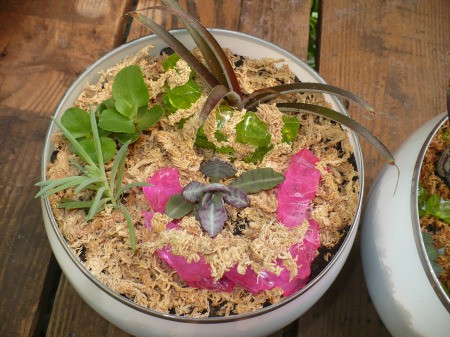 Recycled Glass Light Fixture Terrariums - add plants