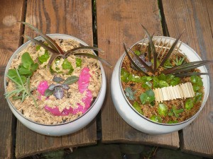 Recycled Glass Light Fixture Terrariums - looking down on two planters sitting on a deck or similar structure