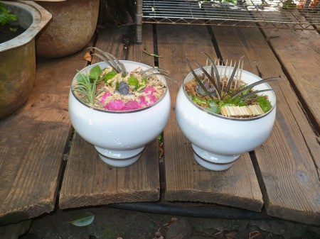 Recycled Glass Light Fixture Terrariums - two finished planters