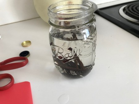 Instant Pot Vanilla Extract - add the two cups of vodka