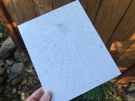 Catching a Spider Web - make sure it is firmly attached