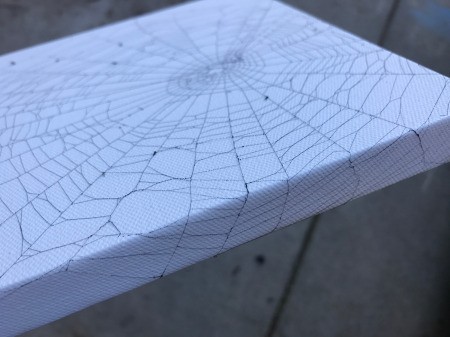 Catching a Spider Web - side view