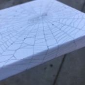 Catching a Spider Web - side view
