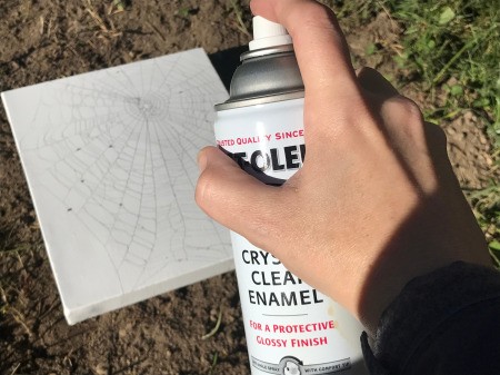 Catching a Spider Web - spray with clear sealer