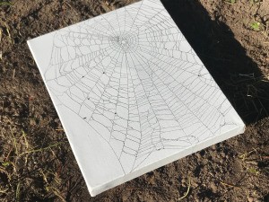 Catching a Spider Web - ready to display