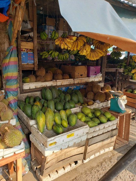 Nature's Present in the Market - open air market with fruit displayed