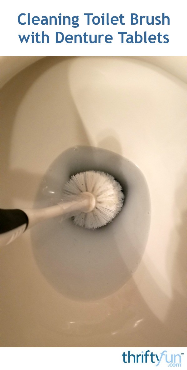 Cleaning Toilet Brush with Denture Tablets ThriftyFun