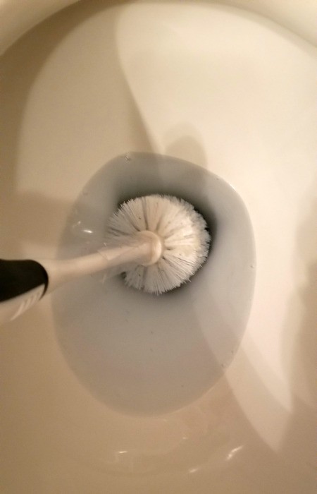 Cleaning Toilet Brush with Denture Tablets - brush down in bowl