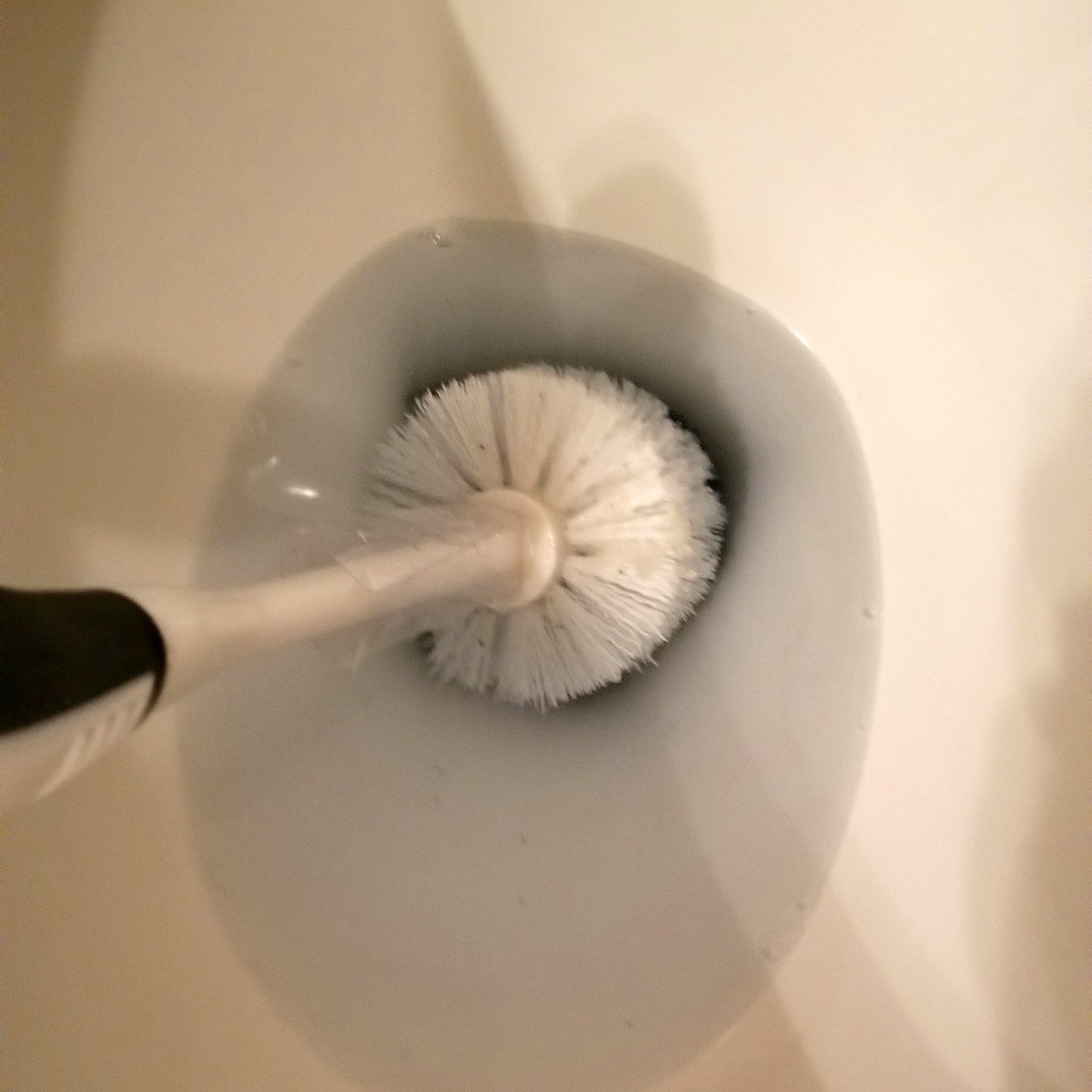 Cleaning Toilet Brush with Denture Tablets ThriftyFun