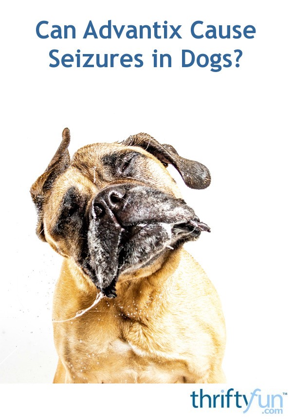 Can Advantix Cause Seizures in Dogs? ThriftyFun