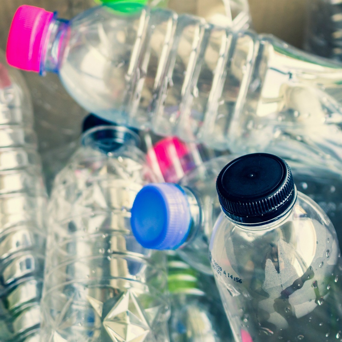 Reusing Plastic  Bottles ThriftyFun