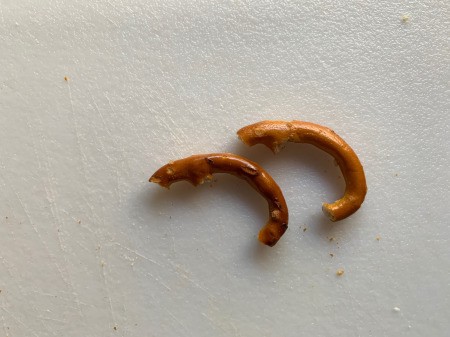 Halloween Spider Donuts - two matching pieces