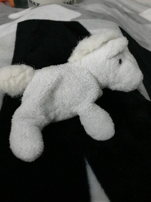 Identifying My Tiny White Horse Plushie - small stuffy