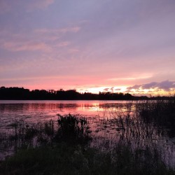 A sunset on Lake Stella (FL)