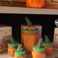 Pumpkin Jars - array of jars sitting on a shelf