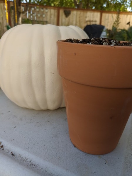Foam Pumpkin Succulent Planter - fill the pot with soil