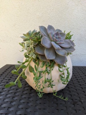 Foam Pumpkin Succulent Planter - planter on woven mat