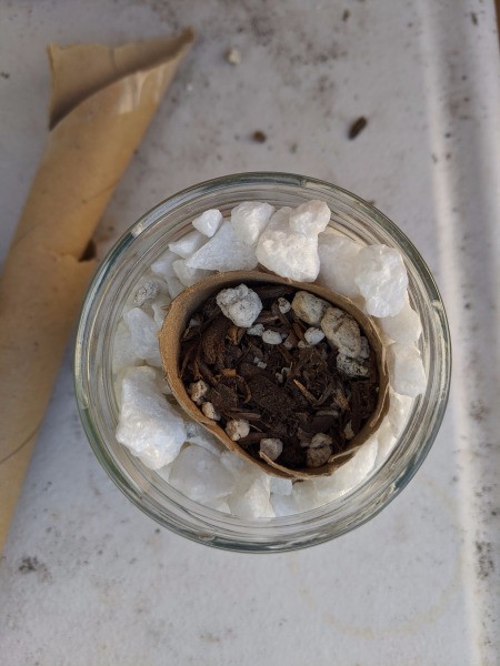 Succulent Jar Centerpiece - soil added to the tube