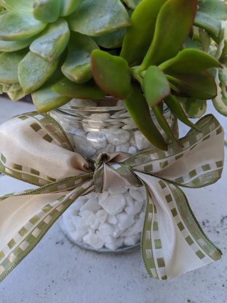 Succulent Jar Centerpiece - bow tied around the middle of the jar