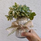 Succulent Jar Centerpiece - hand holding finished jar