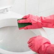 Cleaning Toilet With Ammonia