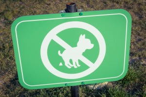 A no dog pooping sign in someone's lawn.