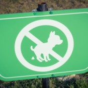 A no dog pooping sign in someone's lawn.