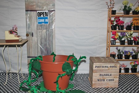 Little Shop of Horrors Costumes - shop background